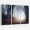 Designart - Magical Trees in Mysterious Forest - Modern Forest Canvas Wall Art